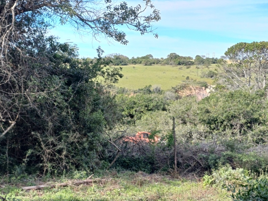 0 Bedroom Property for Sale in Bathurst Eastern Cape